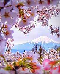 Ada 86292 hotel, resort, dan vila siap dipilih di jepang. Ayo Bekerja Di Jepang Dengan Visa Baru Sekolah Di Jepangsekolah Di Jepang