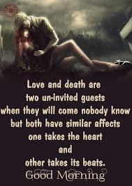 I Love You I Love You Pinterest For Such A Fantastastic And Meaningful Romantic Good Morning Inspirational Quotes Romantic Morning Quotes Good Morning Quotes