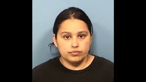 Woman faces 33 counts of animal cruelty in DuPage County