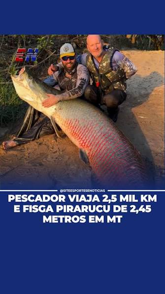 Uma viagem de 2.500 quil&ocirc;metros, de Xanxer&ecirc; (SC) at&eacute; Sinop, em Mato Grosso, terminou com uma captura impressionante. Durante a pescaria, J&uacute;nior Santin fisgou, de dentro de um caiaque, um pirarucu de ...