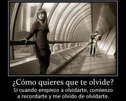 Poema Aun No Puedo Olvidarte Por Lole Poematrix Me robe de tu playa, unos corales, y algo de tu agua, para no secarme. poema aun no puedo olvidarte por lole