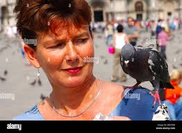 St marks square birds hi-res stock photography and images