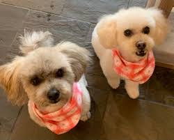 Cheryl Nordquist's Instagram, Twitter & Facebook