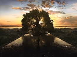 Films & Architecture: "The Fountain" | ArchDaily