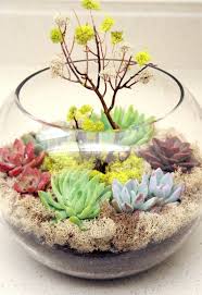 Le Terrarium De Printemps Un Morceau De Nature A La Maison Miniature Garden Terrarium Plants Plants