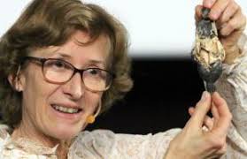 Outils de pierre et identité culturelle des populations préhistoriques