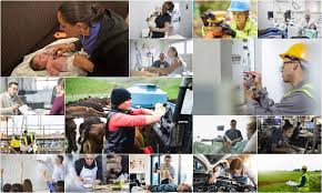 This is a perfect opportunity for a project manager to join our business in an autonomous role where you can. The 20 Top Jobs New Zealanders Should Be Studying For The Spinoff