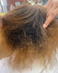 Violeta Ignacio (@violeta_salon) • Instagram photos and videos