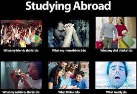 What I Actually Do Memes đại Thư Viện