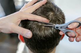 Employers rely on hair follicle drug testing for two main reasons. Ultimate Guide Hair Follicle Drug Testing For Truckers