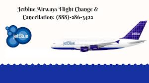 You'll find jetblue's pet policy for travel in the cabin and baggage area here. What Is Jetblue Pet Policy All About By Jetblue Airways Medium