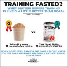 bcaa vs whey which best supports