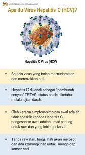 Hepatitis c virus (hcv) is mostly transmitted through exposure to infective blood. Media Selangor Infokini Apa Itu Virus Hepatitis C Facebook