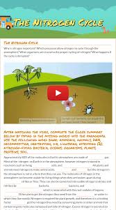Wizer Me Free Interactive Nitrogen Cycle Biology Cycles Blended Worksheet The Nitrogen Cycle By T Nitrogen Cycle Biology Lessons Science Lesson Activities