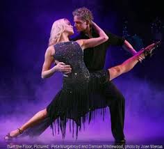 Burn The Floor Peta Murgatroyd And Damien Whitewood Photo By Joan Marcus With Images Ballroom Dancer Just Dance