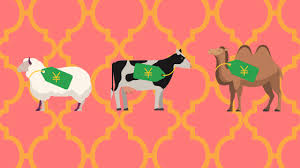 See more of camel qurbani on facebook. Your Qurban Options To Celebrate This Year S Eid Al Adha In Japan Food Diversity Today