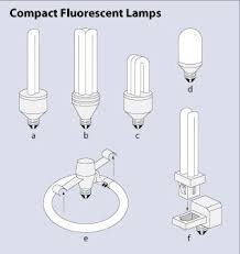 Check spelling or type a new query. Types Of Lighting Fluorescent Bulbs Egee 102 Energy Conservation And Environmental Protection