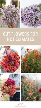 Pin On Bloggers Best Garden Ideas