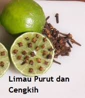 Ubat semulajadi halau semut dan lalat. Anim Agro Technology Cara Cara Halau Lalat