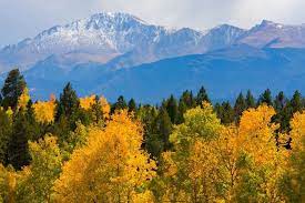Maybe you would like to learn more about one of these? 13 Best Camping Spots Near Colorado Springs Colorado