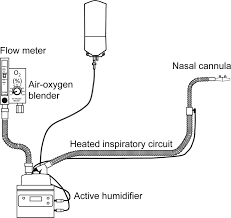 high flow nasal cannula oxygen therapy in adults