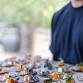Harvest 2025 by Temecula Life — The Vista Sol event image