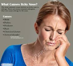 What Does An Itchy Nose Mean What Is The Nose Itching Superstition Jacksonunityfestival Orgirritation Of Nose Causes Symptoms And Diagnosis