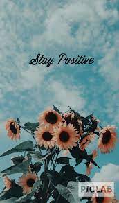 Sunflower Background With Quote Page 1 Line 17qq Com Image about sunflower in by saraax on we heart it.