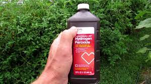 Get your 100% certified food grade 35% hydrogen peroxide delivered to your door. How To Use Hydrogen Peroxide In Your Vegetable Garden A Full Experiment Mix Ratios Youtube
