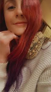 What are some tips for training a cat to sit