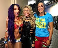Pin On Wwe Divas