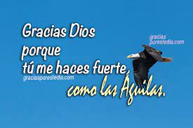 Imagenes cristianas para dar gracias por la salud a dios. Oracion Para Dar Gracias A Dios Por Esta Manana Y Por Todo Lo Que Nos Da Salmo 103 Gracias A Dios Por Este Dia