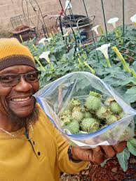 Happy monday from las vegas gardeners