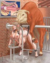Anatomically Correct Porn Cow | Sex Pictures Pass