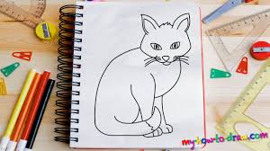 Draw two circles as guides for the first part of the siamese cat's body. Simple Siamese Cat Drawing Novocom Top