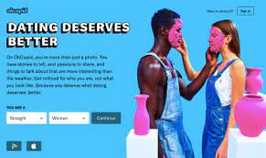 We're a 100% free dating site: Top 10 Best Dating Sites In Usa 2020 Datermeister