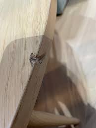 Image result for site:byggahus.se lagning