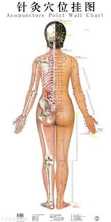 acupuncture nelson and nelson chiropractic in fayetteville nc