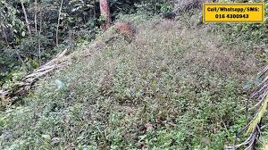 The cheapest offer starts at £35,000. Land For Sale Bidor Perak Mmk Property Management Facebook