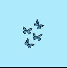 Wallpaper yellow aesthetic butterfly iphone x di 2020. Blue Butterfly Aesthetic Wallpapers Top Free Blue Butterfly Aesthetic Backgrounds Wallpaperaccess