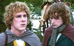 Amy Knippenberg (amelia_knipp)