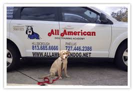 Trust your dog with training new commands to give them a bigger reward. Home All American Dog Training Academy