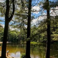 Willard brook trail is a 2.2 mile moderately trafficked out and back trail located near ashby, massachusetts that features a lake and is good for all skill levels. Willard Brook State Forest Damon Pond See Swim