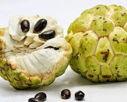Hình ảnh về Trái na