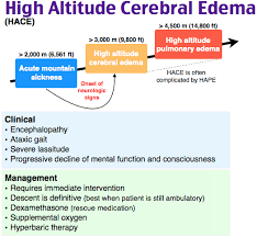 Image result for High Altitude Edema