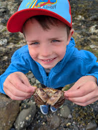 Little evening fish at Finn rock