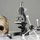 A Discussion with a Forensic Anthropologist