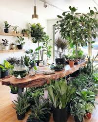 45 Beautiful Indoor Plant Ideas Plant Decor Indoor Plant Decor Indoor Plant Shelves