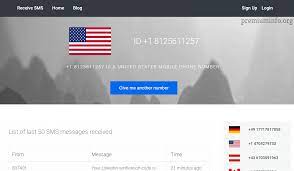 The otp, along with any other sms can be seen at one place in your online panel. Top 5 Free Virtual Phone Number For Sms And Otp Verification 2021 Premiuminfo