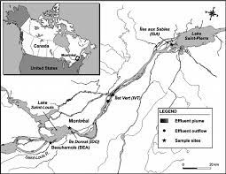 Saint lawrence river — n. Map Of The St Lawrence River Quebec Canada Showing The Location Of Download Scientific Diagram